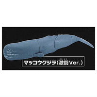 The secret of the deep sea Giant Whale vs. Giant Squid [3.Sperm Whale (Fierce Battle Ver.)]