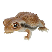 Repti Toad and Forest Tree Frog [1.Toad (red)]