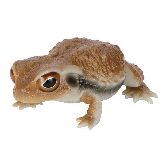 Repti Toad and Forest Tree Frog [1.Toad (red)]