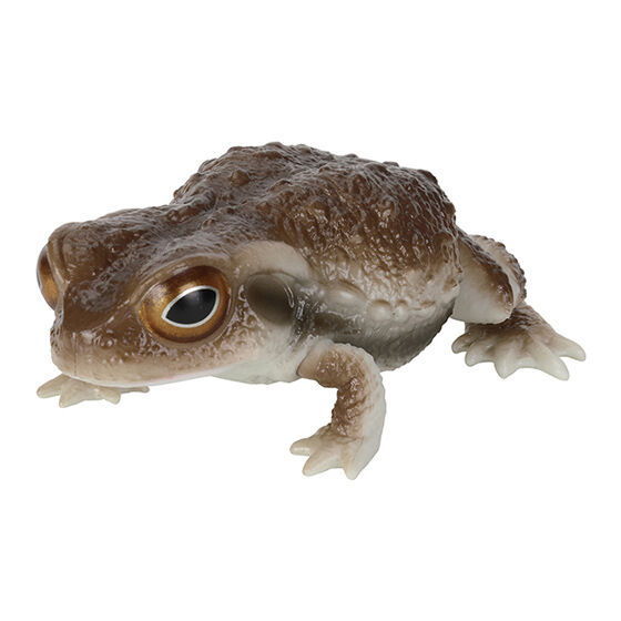 Repti Toad and Forest Tree Frog [2.Toad (dark brown)]