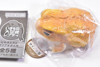 Repti Toad and Forest Tree Frog [3.Toad (yellow)]