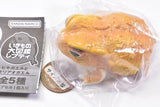 Repti Toad and Forest Tree Frog [3.Toad (yellow)]
