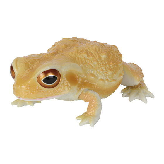 Repti Toad and Forest Tree Frog [3.Toad (yellow)]