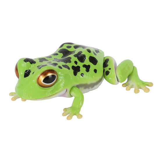 Repti Toad and Forest Tree Frog [4.Forest tree frog (light green)]