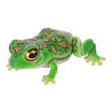 Repti Toad and Forest Tree Frog [5.Forest tree frog (dark green)]