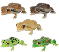 Repti Toad and Forest Tree Frog [All 5 type set(Full Complete)]