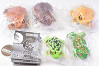 Repti Toad and Forest Tree Frog [All 5 type set(Full Complete)]