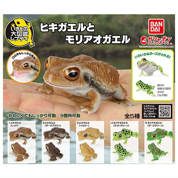 Repti Toad and Forest Tree Frog [All 5 type set(Full Complete)]