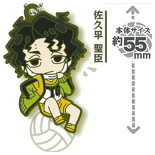 Deformed Rubber! Haikyu!! Fukurodani Academy Kamomedai High School Itachiyama Institute Keychain [5.Kiyoomi Sakusa]