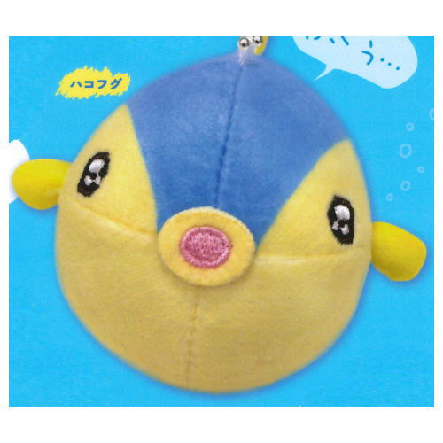 Ururun Aquarium Pukku Puku! Blowfish stuffed toy [1.Boxfish]