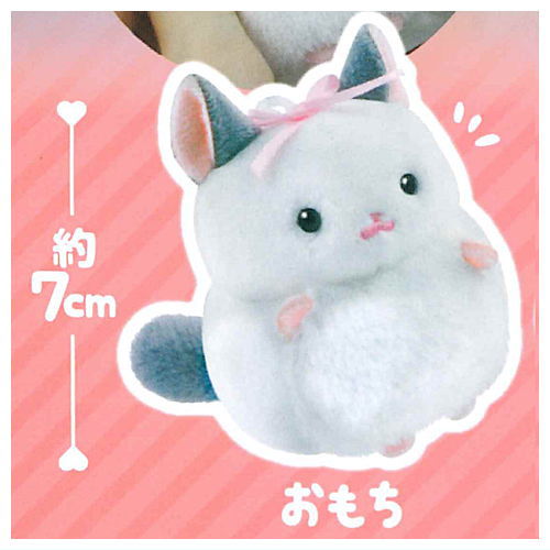 Mochifuwa Chinchillas [1.Omochi]