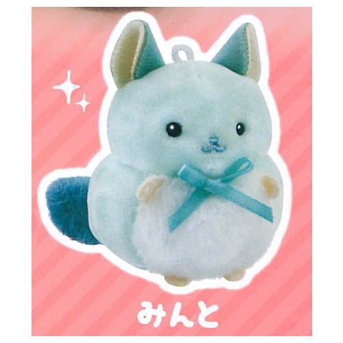 Mochifuwa Chinchillas [4.Mint]