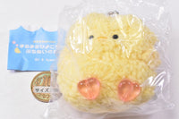 Marumaru Hiyoko-chan Petit Plush Toy [6.Fuyuge]