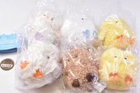Marumaru Hiyoko-chan Petit Plush Toy [All 6 type set(Full Complete)]