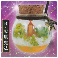 with Magic stone! manten terrarium mascot [2.Mars Magic]