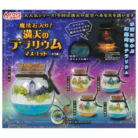 with Magic stone! manten terrarium mascot [All 5 type set(Full Complete)]