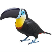 Nature Techni color Big Toucan [2.Channel-billed Toucan]