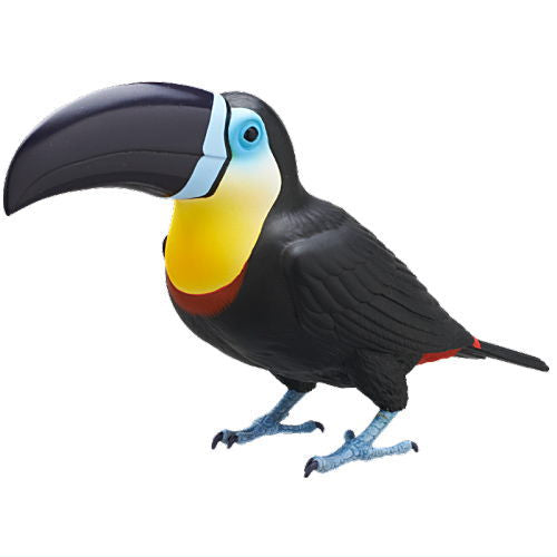 Nature Techni color Big Toucan [2.Channel-billed Toucan]