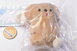nicoyama pocket Sitting Koala Stuffed Toy [2.Kinako]