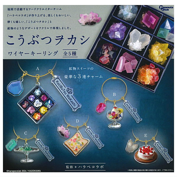 Kobutsu Wokashi Wire Key Ring [All 5 type set(Full Complete)]