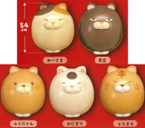Mushitate Higemanju Squeeze [All 5 type set(Full Complete)]