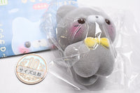 Sukuttotacchisan Fuafua Sofubi Mascot Nekosantacchi [1.Ash]
