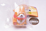 Chuken Mochishiba 10th Anniversary Figure [1.Okaka]