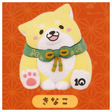 Chuken Mochishiba 10th Anniversary Figure [6.Kinako]