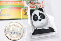 Air Hockey Acrylic Keychain [6.Jupitan]