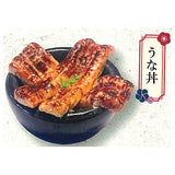 Japanese Food Collection Japanese Rice Bowls [5.Unadon]