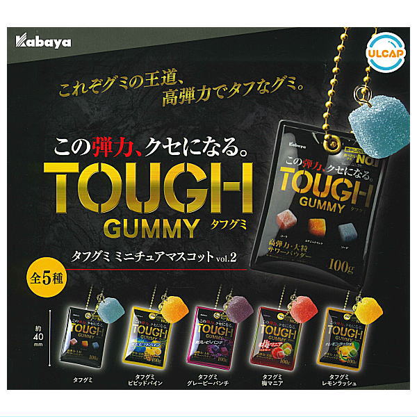 Tough Gummy Miniature Mascot vol.2 [All 5 type set (Full Complete)]
