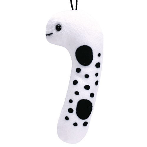 Spotted garden eel Plush Toy [2.Spotted garden eel]