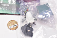 Nature Techni Colour The South Pole Special Edition [4.Rockhopper Penguin]