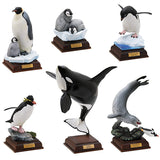 Nature Techni Colour The South Pole Special Edition [All 6 type set(Full Complete)]