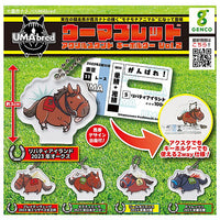 UMAbred Acrylic Stand & Keychain Vol.2 [All 5 type set (Full Complete)]