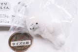 Potteri azarashi-kun [1.Gorone]