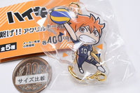Haikyu!! Connect!! Acrylic Keychain [1.Shoyo Hinata]