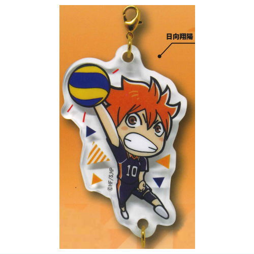 Haikyu!! Connect!! Acrylic Keychain [1.Shoyo Hinata]