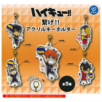 Haikyu!! Connect!! Acrylic Keychain [All 5 type set (Full Complete)]