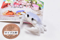 Cable Chokkin shiyoukani Part.3 Feat. Hermit Crab & Lobster [1.Ghost crab]