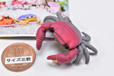Cable Chokkin shiyoukani Part.3 Feat. Hermit Crab & Lobster [2.Red claws crab]