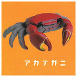 Cable Chokkin shiyoukani Part.3 Feat. Hermit Crab & Lobster [2.Red claws crab]