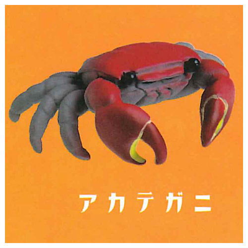 Cable Chokkin shiyoukani Part.3 Feat. Hermit Crab & Lobster [2.Red claws crab]