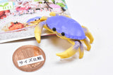 Cable Chokkin shiyoukani Part.3 Feat. Hermit Crab & Lobster [3.Dungeness crab]