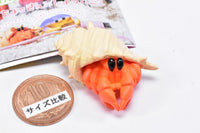 Cable Chokkin shiyoukani Part.3 Feat. Hermit Crab & Lobster [4.Hermit crab]