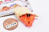 Cable Chokkin shiyoukani Part.3 Feat. Hermit Crab & Lobster [4.Hermit crab]