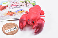 Cable Chokkin shiyoukani Part.3 Feat. Hermit Crab & Lobster [5.Lobster]