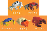 Cable Chokkin shiyoukani Part.3 Feat. Hermit Crab & Lobster [All 5 type set(Full Complete)]