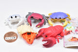 Cable Chokkin shiyoukani Part.3 Feat. Hermit Crab & Lobster [All 5 type set(Full Complete)]