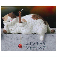 Tsuribiyori Part.5 Poccharinekotachino himatsubushi [4.Exotic Shorthair]